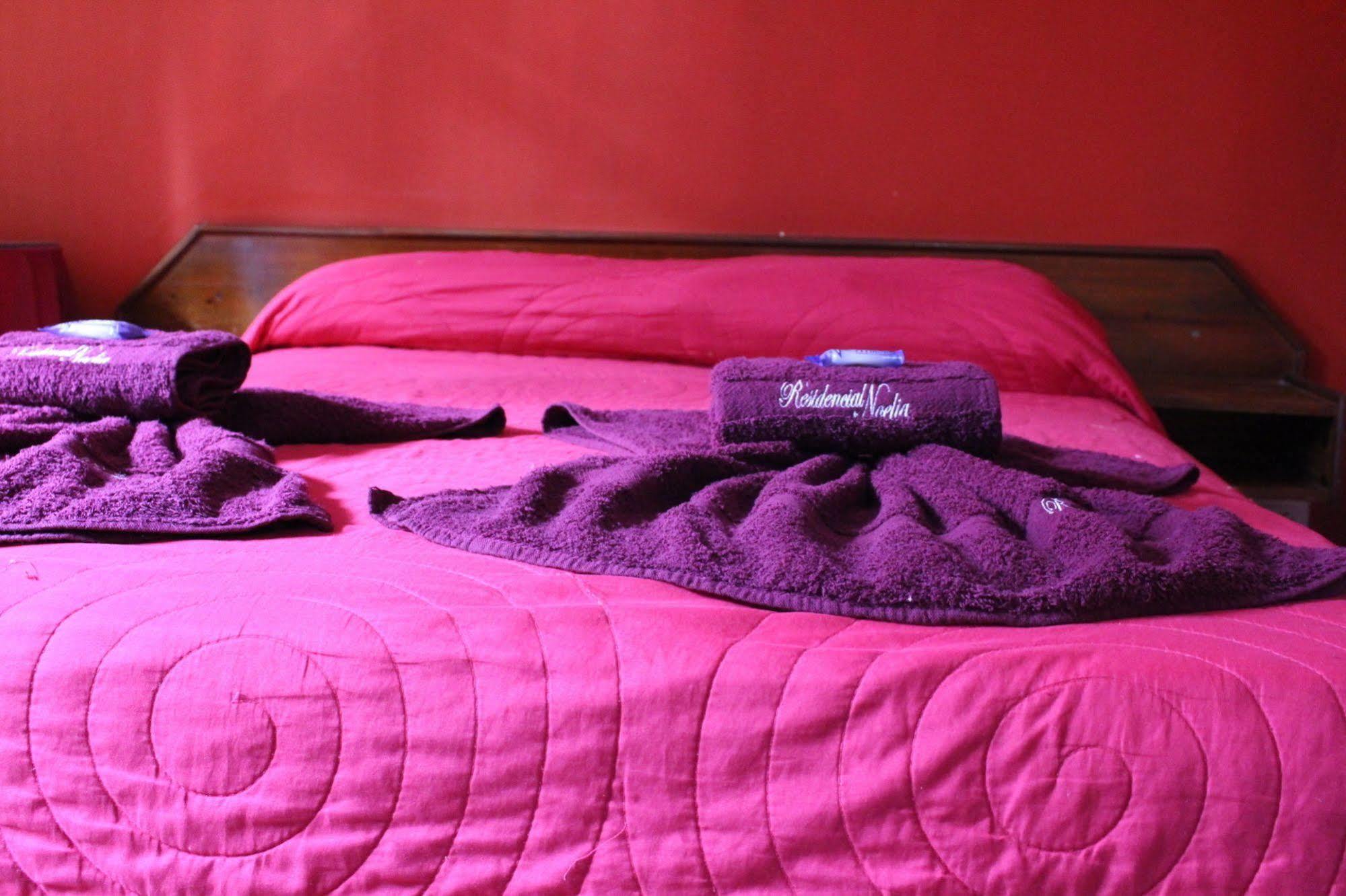 Residencial Noelia Hostel Пуерто-Іґуасу Екстер'єр фото
